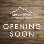 ApexNetwork PT Opening November 2019