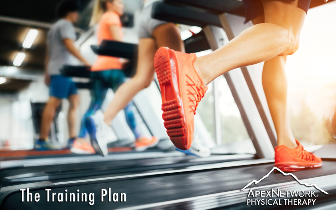 Picture of people doing cardio training on treadmill in gym with the words "The Training Plan" and ApexNetwork Physical Therapy logo on the bottom of the image.