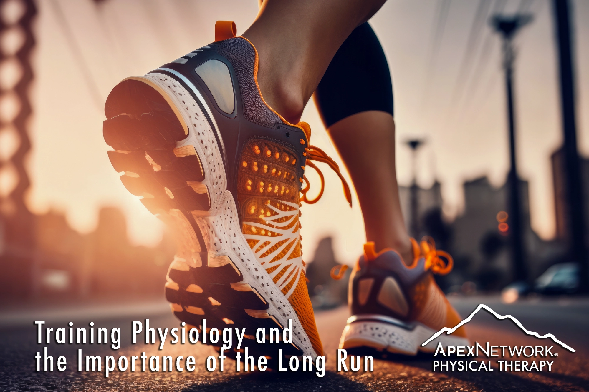What is the Optimal Long Run Pace - Runners Connect