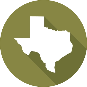 Icon of the State of Texass with a Green Circle Background.